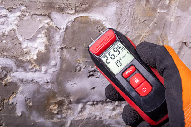 Best Affordable Mold Removal  in Alta Sierra, CA