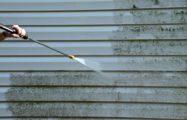 Attic Mold Removal in Alta Sierra, CA